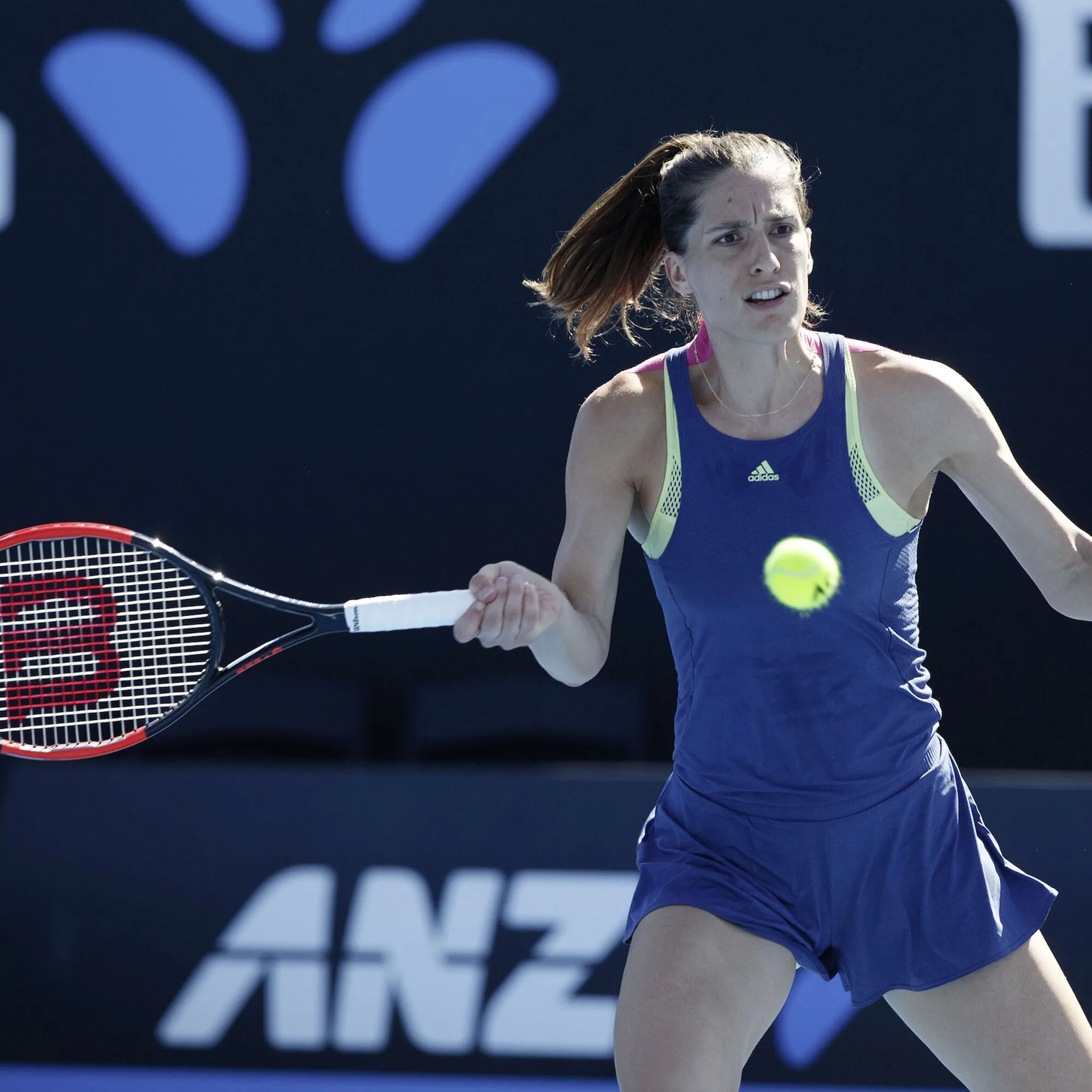 Wilson Natural Gut Set Di Corde 12,2m - Colori Naturali - immagine 4